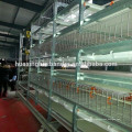 fully automatic broiler chickens cage /breeding chicken cage